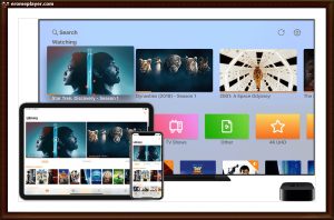 link oluşturma nasıl yapılır