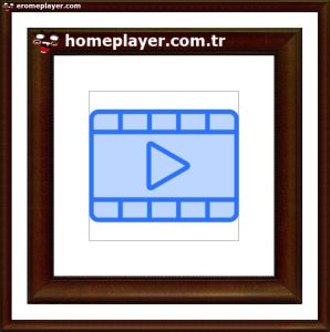 seo uzmanlığı