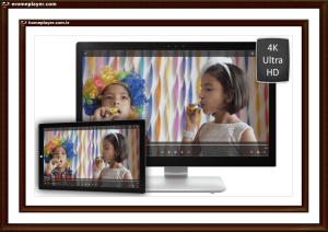 wqzwwqzw4k ultra hd playback free windows10 cnx player 00101 00453
